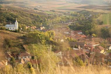 Pensiunea Casa din Vii