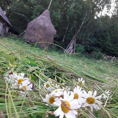 Retreat Holiday in Cozy Traditional House