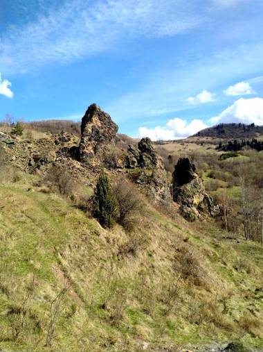 Room in Guest room - Cozy Rural Retreat in Rosia Montana