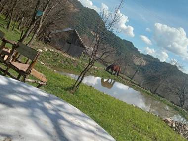 Room in Guest room - Cozy Rural Retreat in Rosia Montana