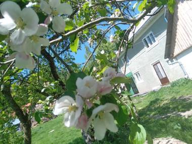 Room in Guest room - Idylic Family Sejour with Hottube in Green Land