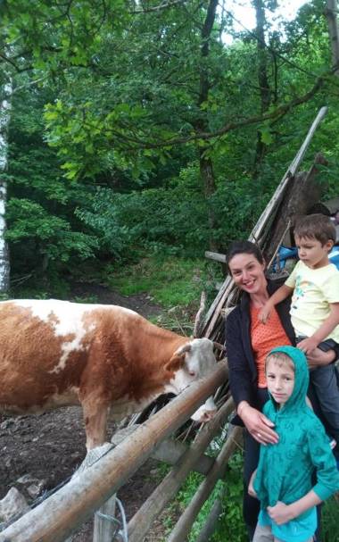 Room in Guest room - Enjoy your holiday on wonder Transylvania