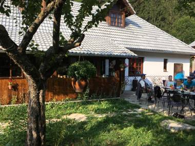 Gospodaria Lui Nea Ion