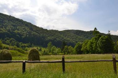 Gospodaria Lui Nea Ion