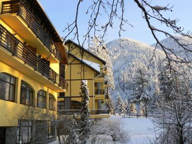 Hotel OHMA - Casa Viorel