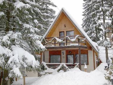 Traveland Alpin Maisonette Poiana Brasov