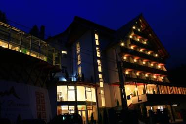 Hotel Roman Maramures