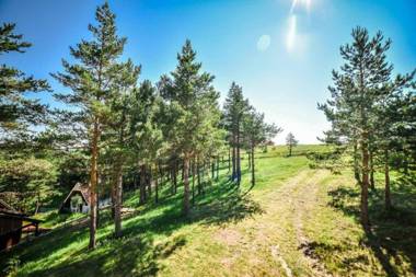 NG Apartmani Tornik Zlatibor