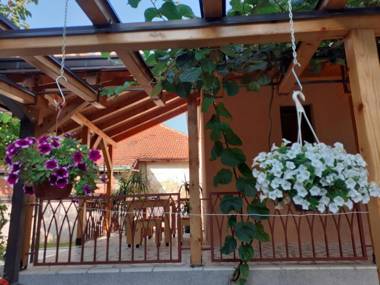 Apartmani Jelica FREE PARKING