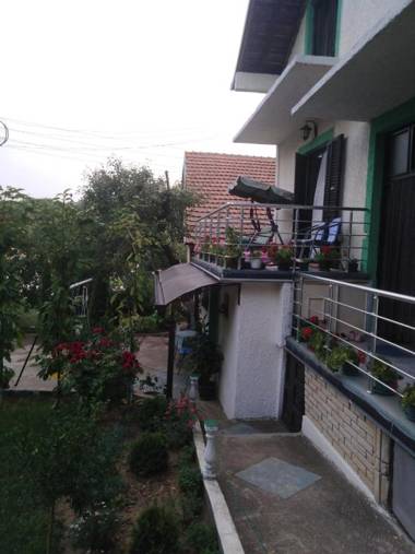 Snezana home