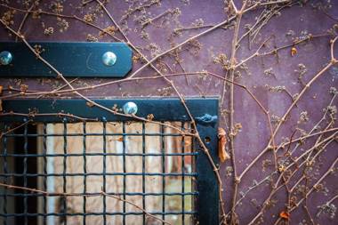 PB Apartman sa vrtom