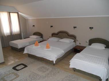 Guest house Vila Bor