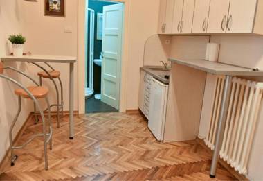 Bojan Central Apartment