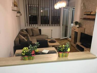 Apartment Sinisa with Garage