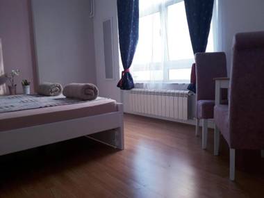 Studio Apartman Ld U Strogom Centru