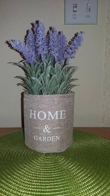 Sweet Home Center Apartment