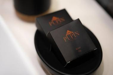 Hotel Pupin Novi Sad