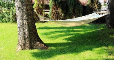 Laguna Green Guest House