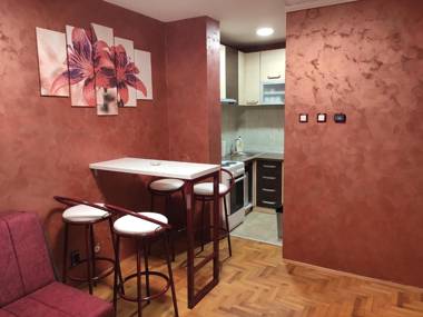 Modern cozy apartment