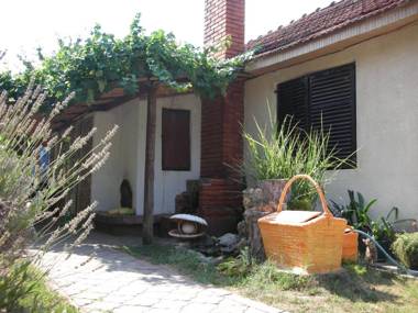 Pržić House