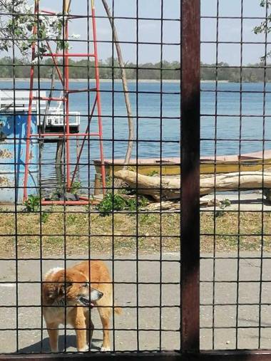 Oskar apartman Negotin /Oscar apartment Negotin