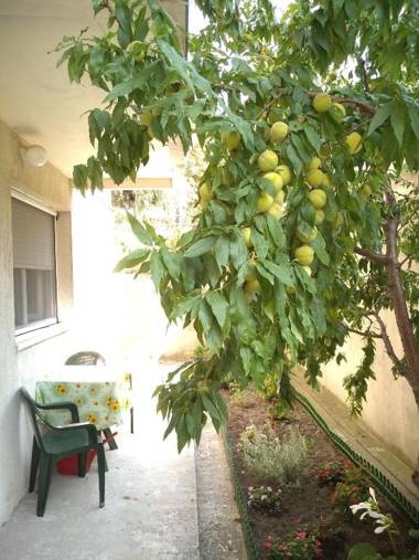 Ada Belgrade Apartment