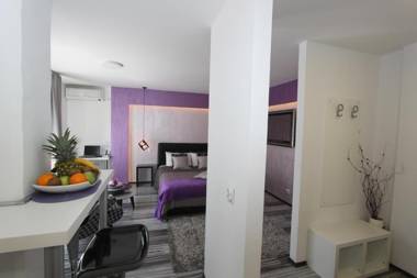 New Belgrade Apartment ARENA