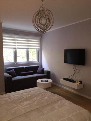 Balkan-inn Parlament Lux apartment