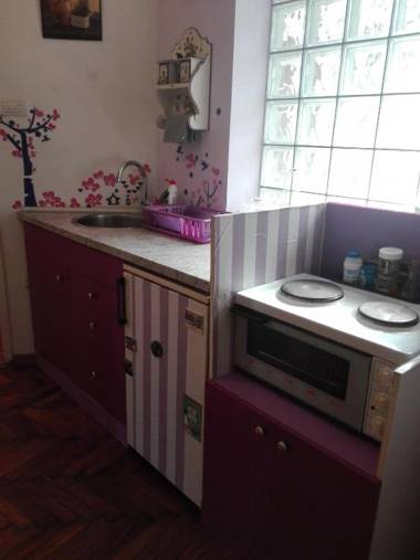 Cozy Downtown Apartment