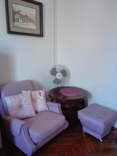 Cozy Downtown Apartment