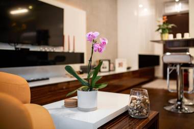 Bright Stylish Luxury Studio LEO in New Belgrade business district WiFi Netflix