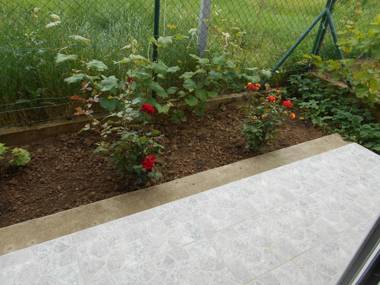 Airplane Apartment T&T