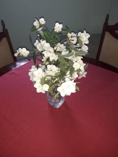 Airplane Apartment T&T