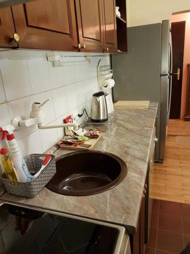 Classic Style Apartment