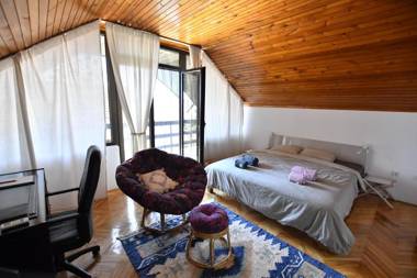 Villa Mina Kladovo entire house with private swimming pool