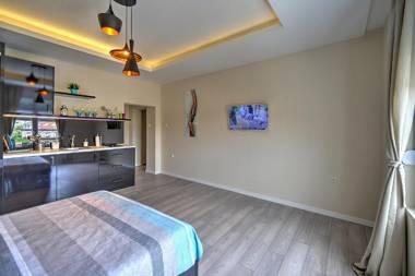 Z&N luxury Belgrade appartment - city center