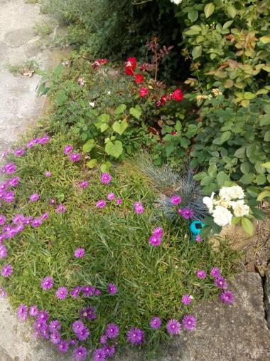 Gardos house above Danube