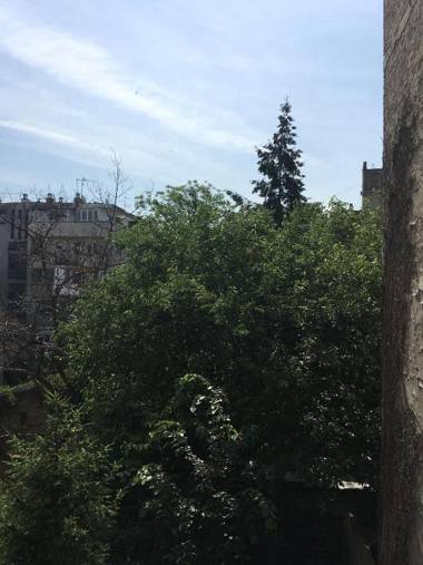 Azzurro Studio Apartment