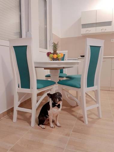 Airport view Apartment