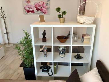 Modern Studio (Institut Majka i Dete)