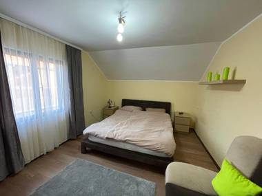 Danube Villa Dabizljevic