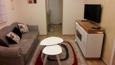 Apartment Dedinje Hill 2