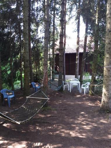 Apartmani U Borovoj Šumi