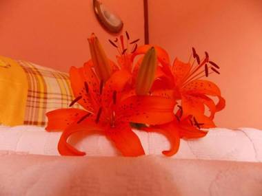 Apartments Vukomanović