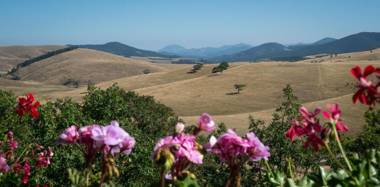 Guest House Vila Djokic