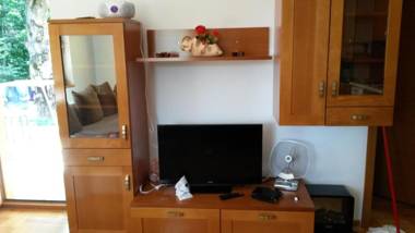 Apartment Joksimovic