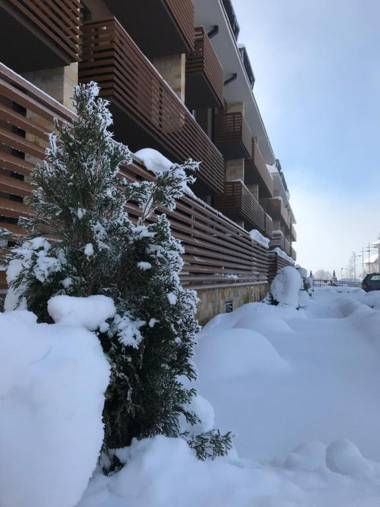 Lux Apartments Janjic