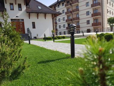 Zlatibor Hills Nature