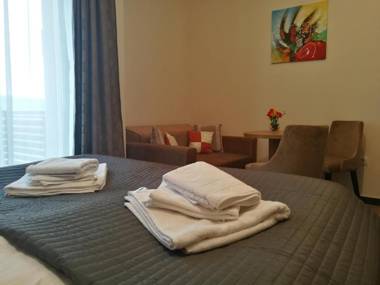 Zlatibor Hills Studio