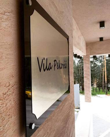 Vila Pekovic Apartman P8